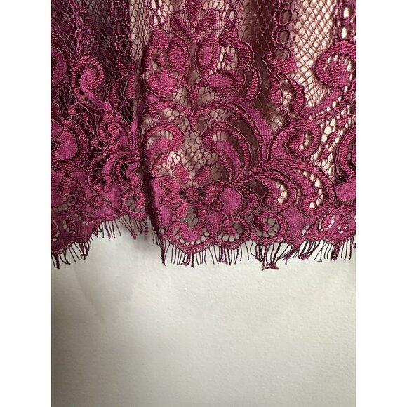 Adrianna Papell Purple Lace Sheer Long Sleeve Sheath Dress Size 18W Party - Picture 4 of 9